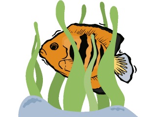 angelfish in weeds.gif